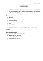 Konspekts 'Četras kustību rotaļas (sižeta,vidējas itensitātes,didaktiska,stafete)', 1.