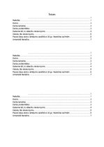 Referāts 'Albērs Kamī "Mēris"', 2.