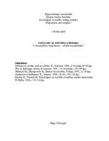 Konspekts 'Interakcija – cilvēka mijiedarbība', 1.