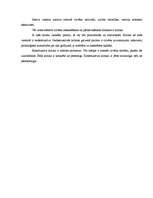 Konspekts 'Interakcija – cilvēka mijiedarbība', 4.