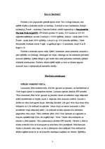 Referāts 'Referāts par florbolu', 3.