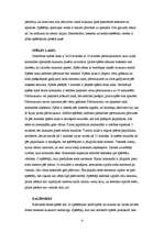 Referāts 'Referāts par florbolu', 4.