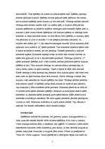 Referāts 'Referāts par florbolu', 5.