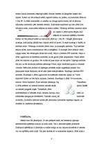 Referāts 'Referāts par florbolu', 6.