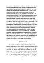 Referāts 'Referāts par florbolu', 7.