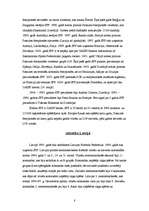 Referāts 'Referāts par florbolu', 8.