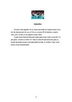 Referāts 'Referāts par florbolu', 10.