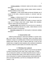 Prakses atskaite 'Mazumtirdzniecības uzņēmuma analīze', 6.