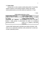 Prakses atskaite 'Mazumtirdzniecības uzņēmuma analīze', 8.