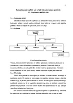 Prakses atskaite 'Mazumtirdzniecības uzņēmuma analīze', 11.