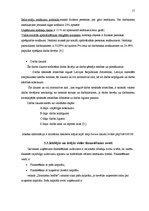 Prakses atskaite 'Mazumtirdzniecības uzņēmuma analīze', 17.