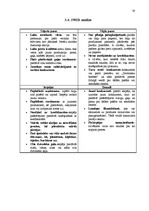 Prakses atskaite 'Mazumtirdzniecības uzņēmuma analīze', 19.