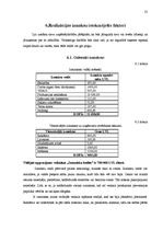 Prakses atskaite 'Mazumtirdzniecības uzņēmuma analīze', 25.