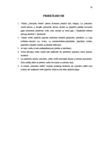 Prakses atskaite 'Mazumtirdzniecības uzņēmuma analīze', 29.