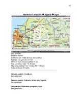 Referāts 'Užavas alus studiju projekts', 32.