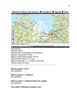 Referāts 'Užavas alus studiju projekts', 33.