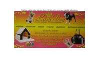 Referāts 'Reklāma žurnālos', 21.