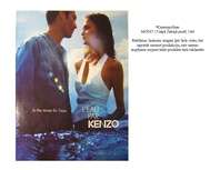 Referāts 'Reklāma žurnālos', 22.