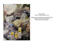 Referāts 'Reklāma žurnālos', 28.