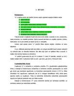 Referāts 'Vadība uzņēmumā X', 1.