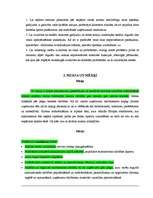 Referāts 'Vadība uzņēmumā X', 5.