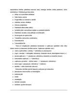 Referāts 'Vadība uzņēmumā X', 8.