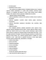 Referāts 'Vadība uzņēmumā X', 9.