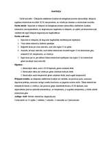 Referāts 'Ūdeņradis iekšdedzes dzinējos kā sadegšanas procesa optimizētājs', 2.