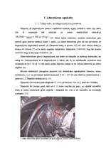 Referāts 'Ūdeņradis iekšdedzes dzinējos kā sadegšanas procesa optimizētājs', 8.