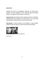 Referāts 'Radioaktivitāte izmantojama arī cilvēku labā', 27.