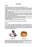 Referāts 'Britu ēdieni', 2.