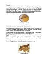 Referāts 'Britu ēdieni', 4.