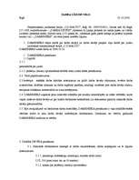 Paraugs 'Darba līgums', 1.