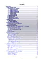 Biznesa plāns 'SIA "LDG-logi" biznesa plāns', 2.