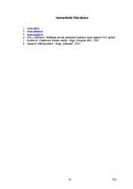 Biznesa plāns 'SIA "LDG-logi" biznesa plāns', 33.