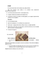 Biznesa plāns 'Lupatu paklāju ražošana', 2.