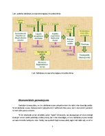 Biznesa plāns 'Lupatu paklāju ražošana', 3.