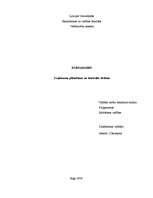 Referāts 'Uzņēmuma plānošanas un kontroles sistēma', 1.