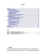 Referāts 'Uzņēmuma plānošanas un kontroles sistēma', 2.