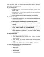 Referāts 'Uzņēmuma plānošanas un kontroles sistēma', 5.