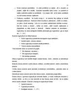 Referāts 'Uzņēmuma plānošanas un kontroles sistēma', 22.