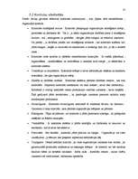 Referāts 'Uzņēmuma plānošanas un kontroles sistēma', 23.