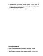 Referāts 'Uzņēmuma plānošanas un kontroles sistēma', 29.