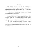 Konspekts 'Tehnikas interneta veikals', 5.