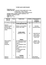 Konspekts 'Sporta stundas konspekts 8. klasei - basketbols', 1.