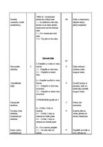 Konspekts 'Sporta stundas konspekts 8. klasei - basketbols', 4.
