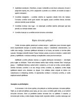 Referāts 'Surikati', 9.