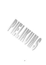 Konspekts 'Pārvaldes dokumentu izstrādāšanas un noformēšanas prasības', 23.