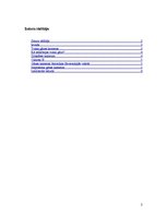 Referāts 'Gāzes kameras', 2.