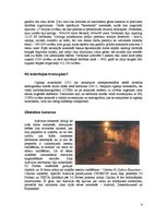 Referāts 'Gāzes kameras', 4.